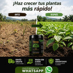 Viresta Soil Revitalizer: Revitalizador de Suelo Concentrado