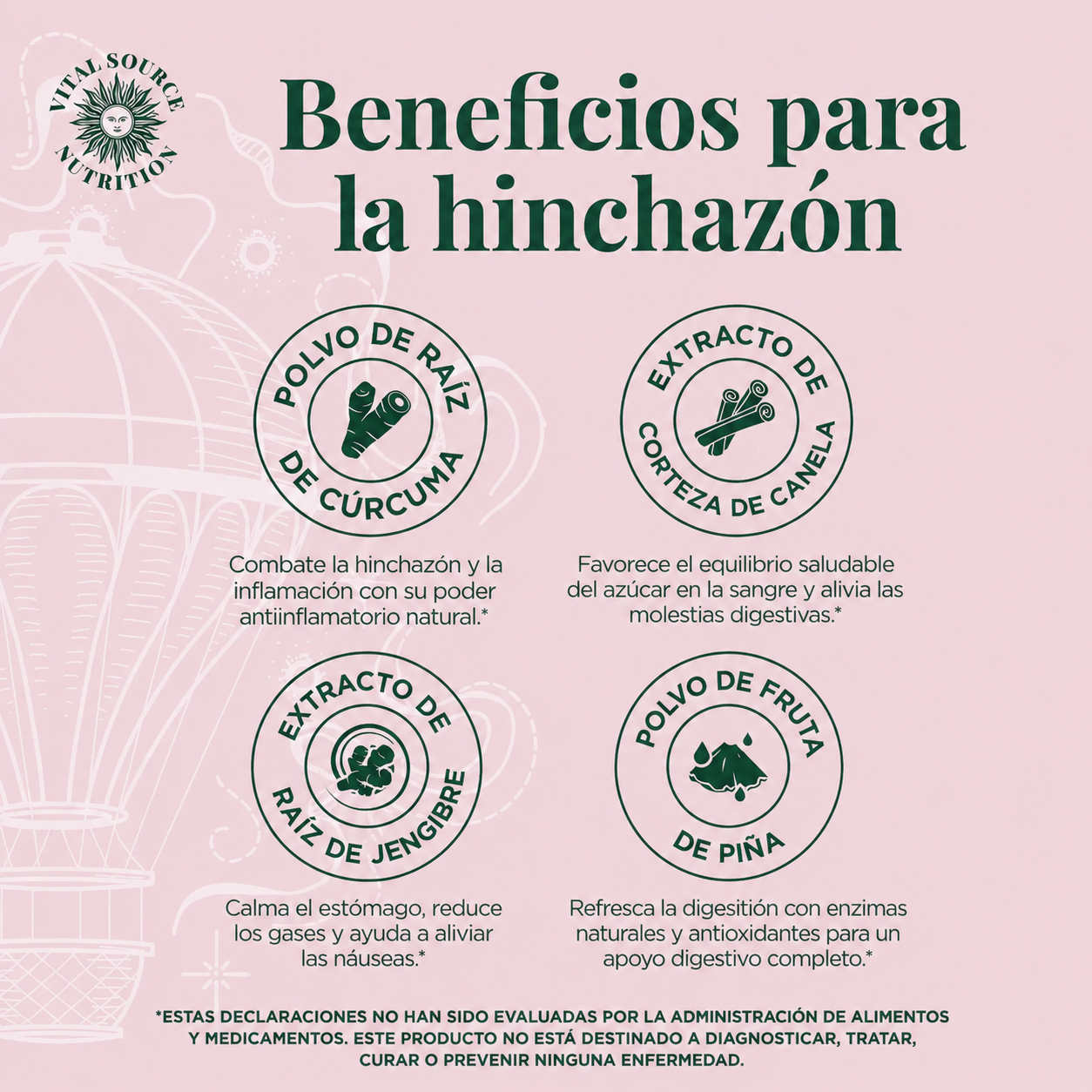 AiRi Vital Source Nutrition: Bienestar Digestivo Profundo y Diario